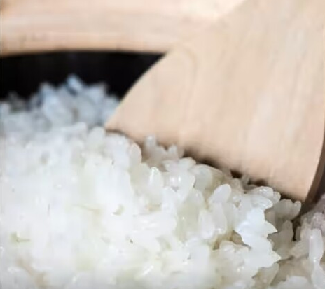 国産米「虹の煌めき」食べ放題